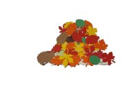 Bastelset Fensterbilder Herbst - Ahornblatt, Kürbis, Eichkätzchen, Blätterhaufen