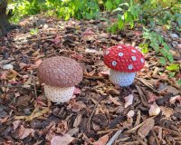 Bastelset "Alles drin" - Zwei Pilze (ca. 8cm)...